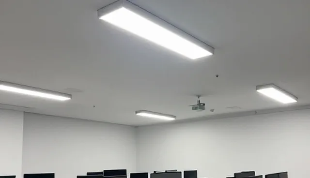 数据追踪在内容优化中的应用与建议