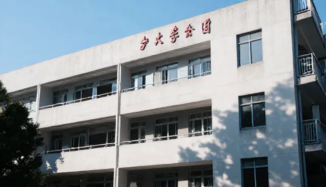 企业官网建设中如何提升SEO优化服务效果？